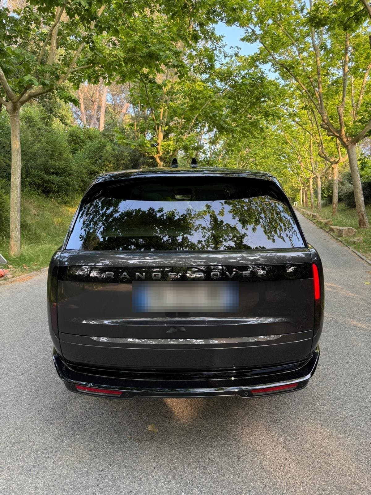 Cadillac Escalade ESV Platinum: 17