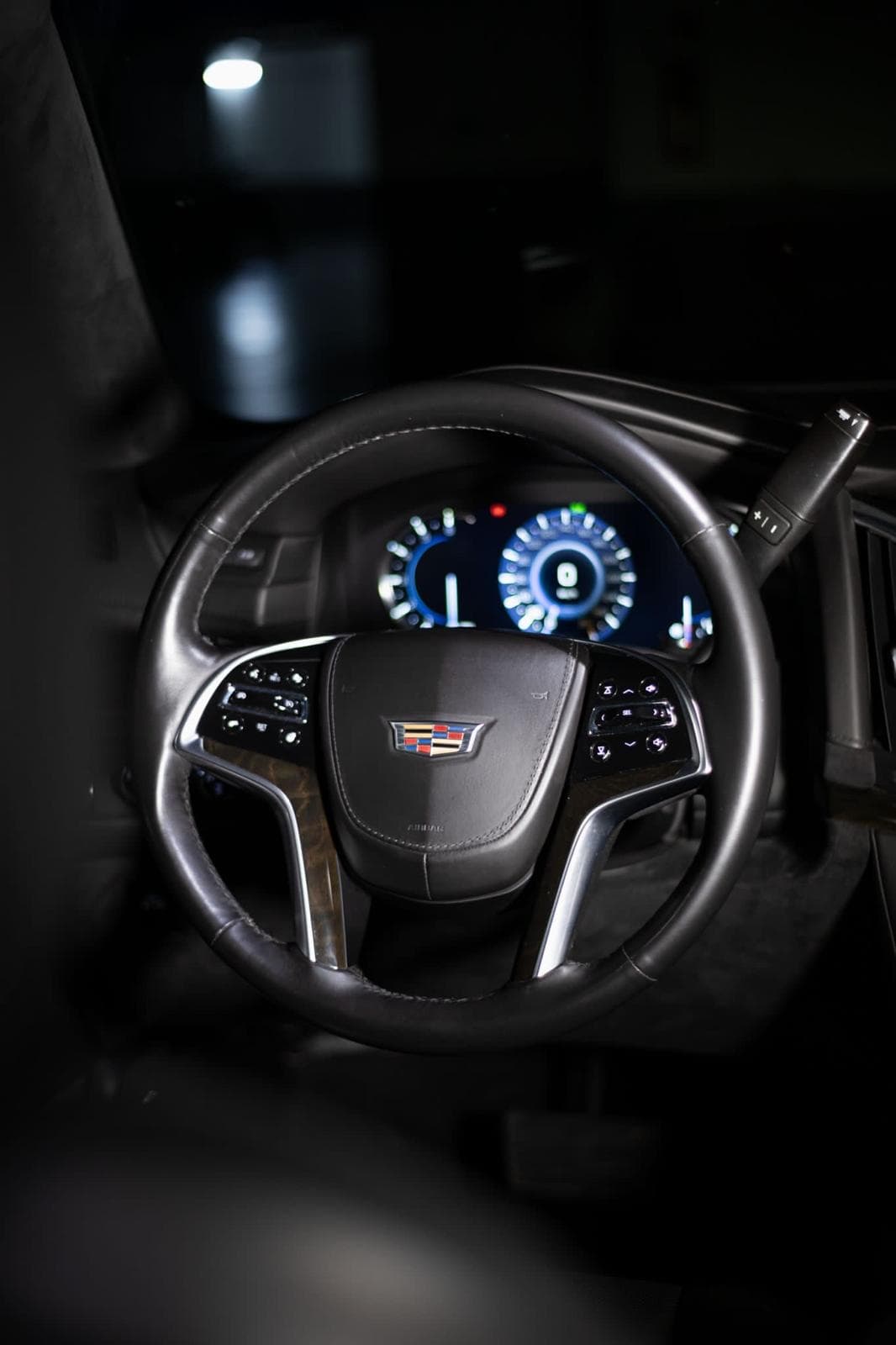 Cadillac Escalade ESV Platinum: detail