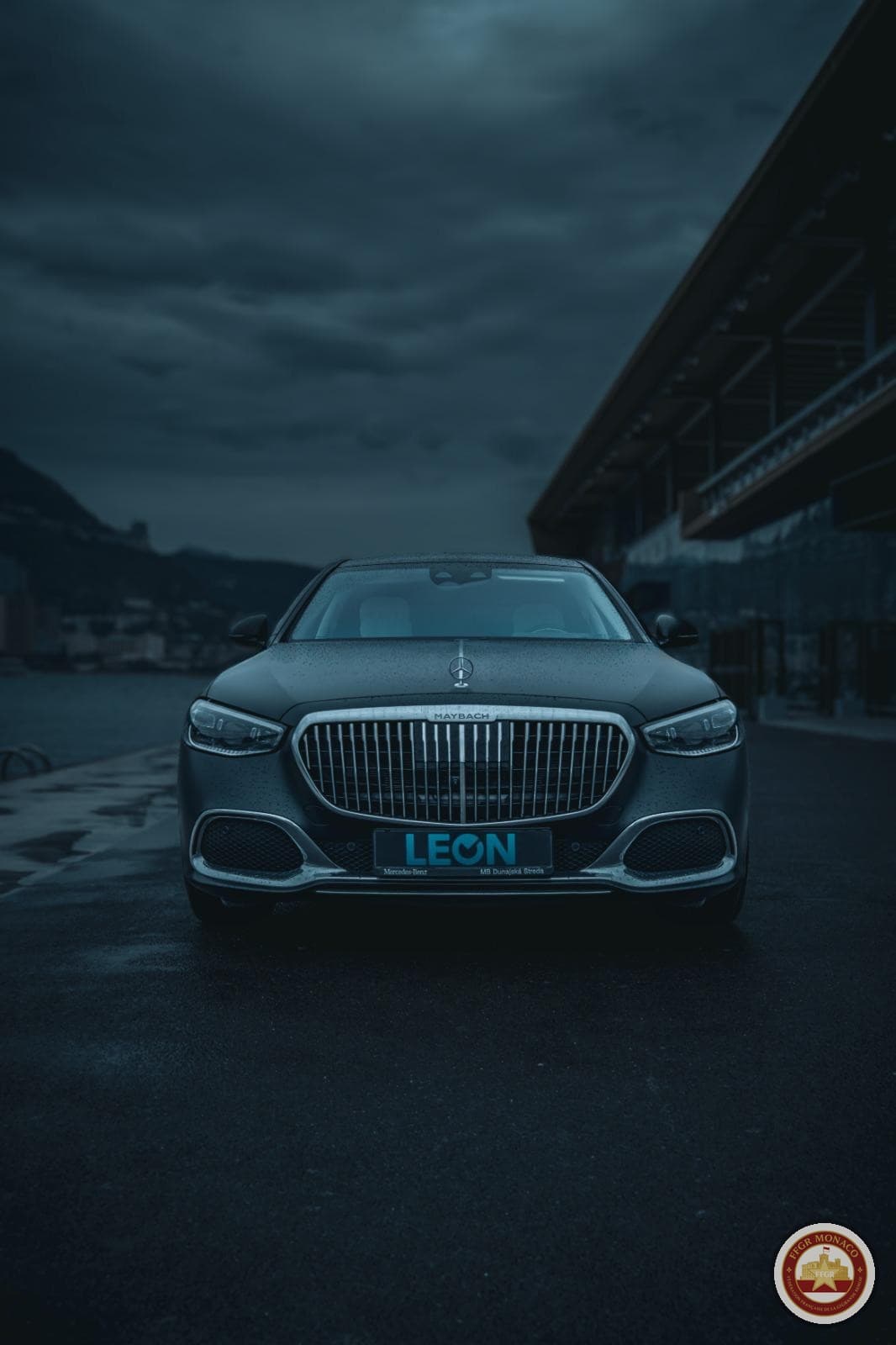 Mercedes-Maybach GLS 600: detail