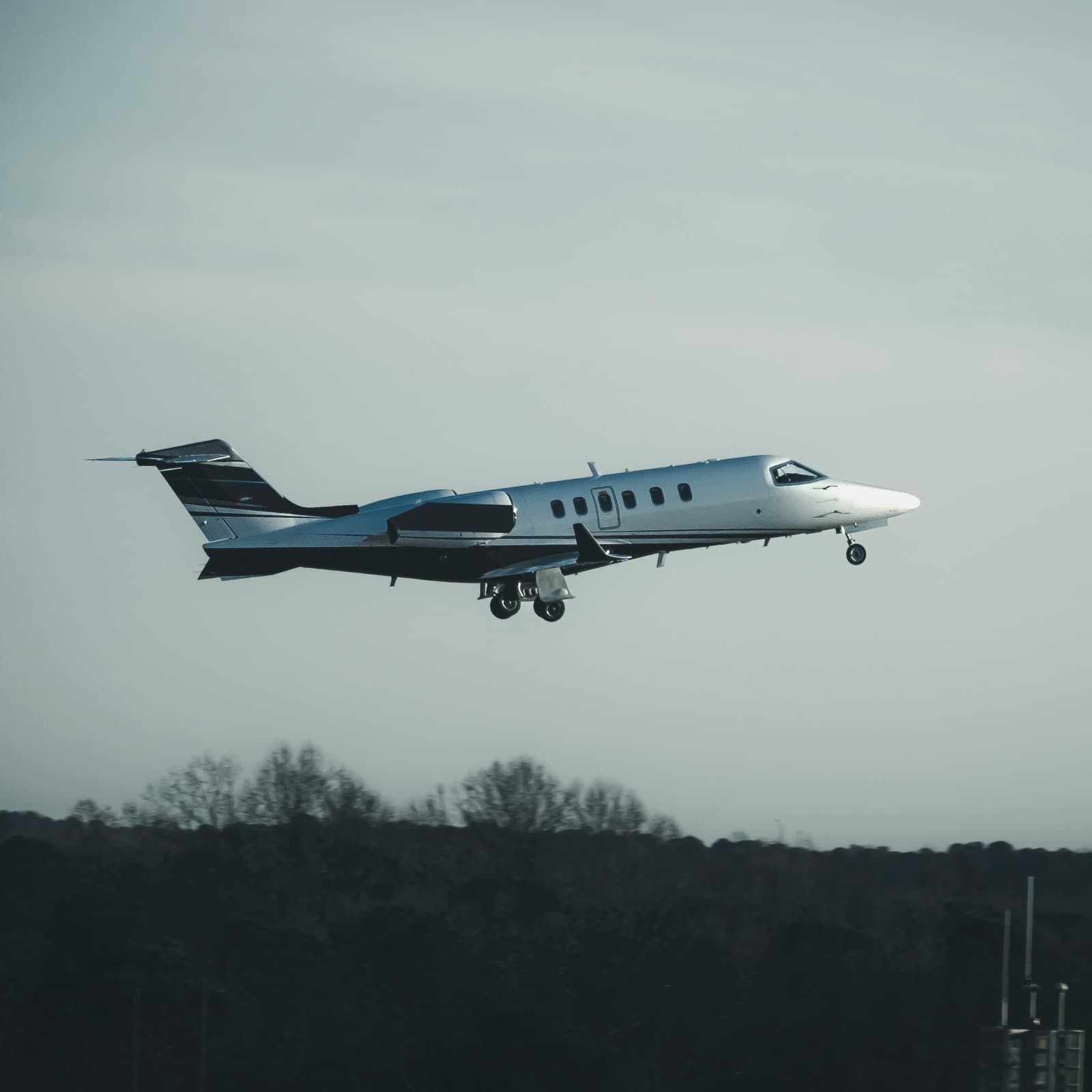 Bark Air | jet privé pet-friendly FFGR Greece