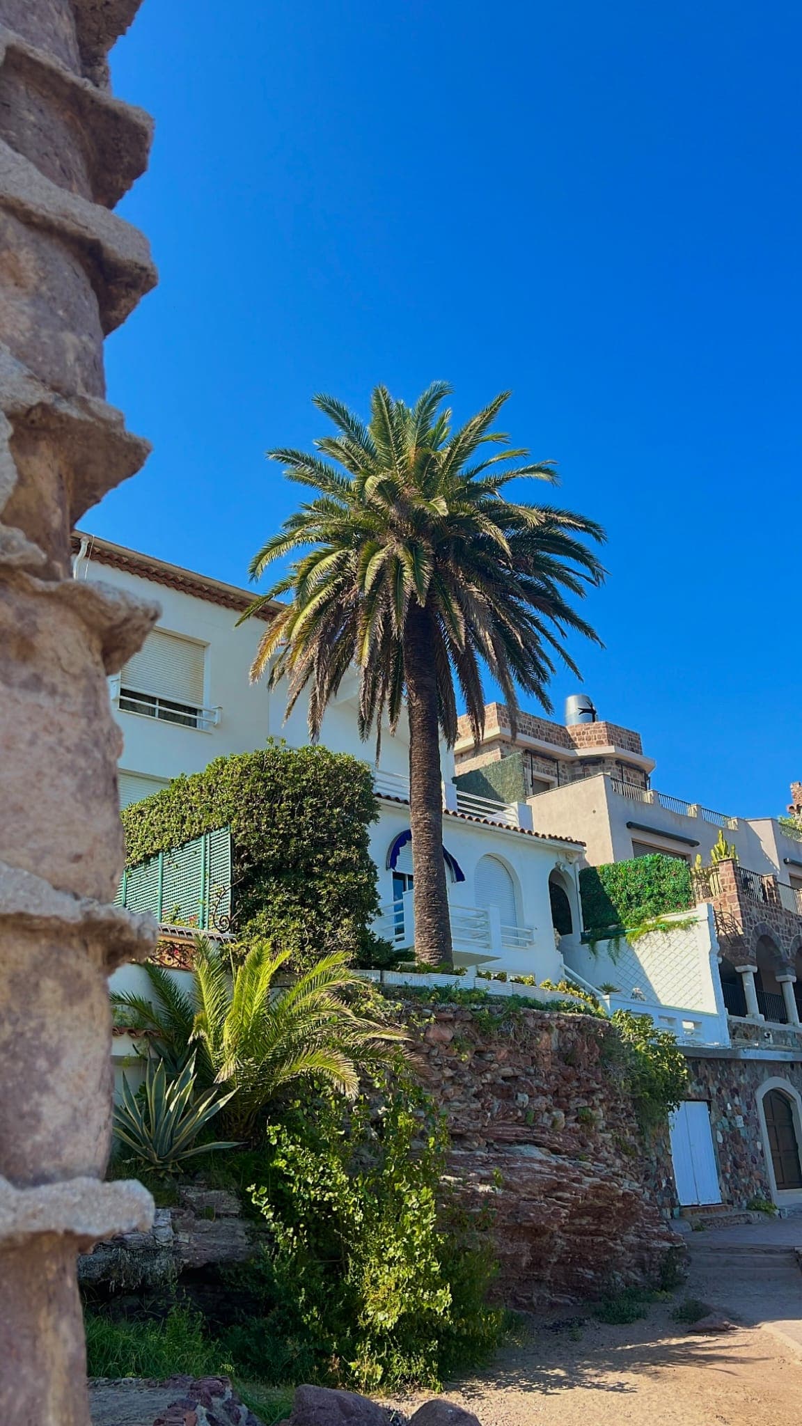 Transport Concierge Médical Monaco — Accès Clinique Privée & Discrétion